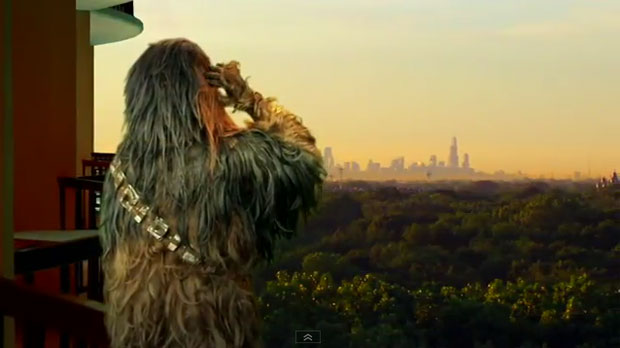 Chewbacca Bachelor