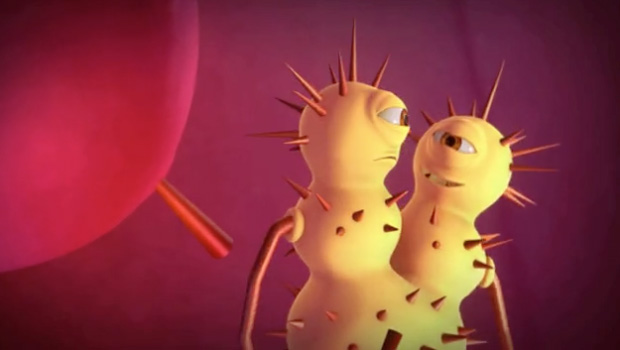 Motion Graphics / Selected Works